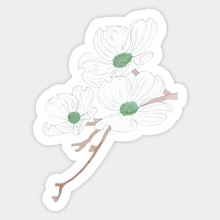 Dogwood Blooms Sticker